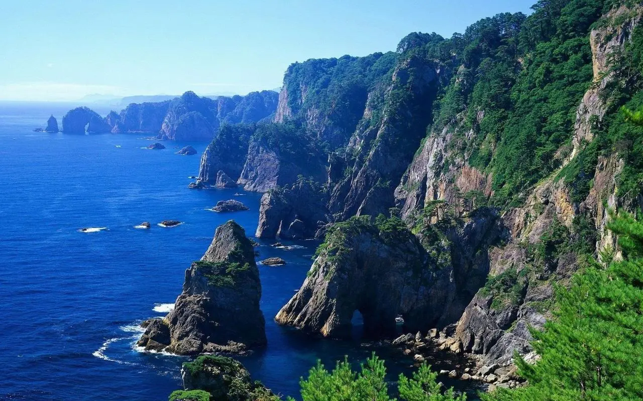 高标准高端先进